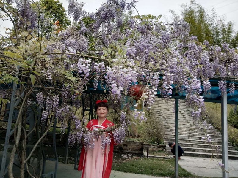 莉莉的第一张照片--浦城征婚网