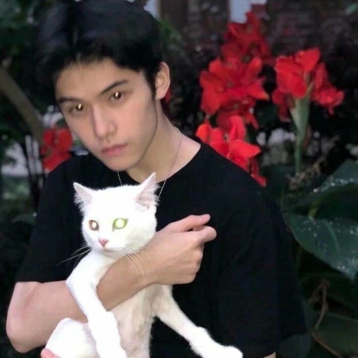 爷的魅力你不懂的第一张照片--浦城征婚网