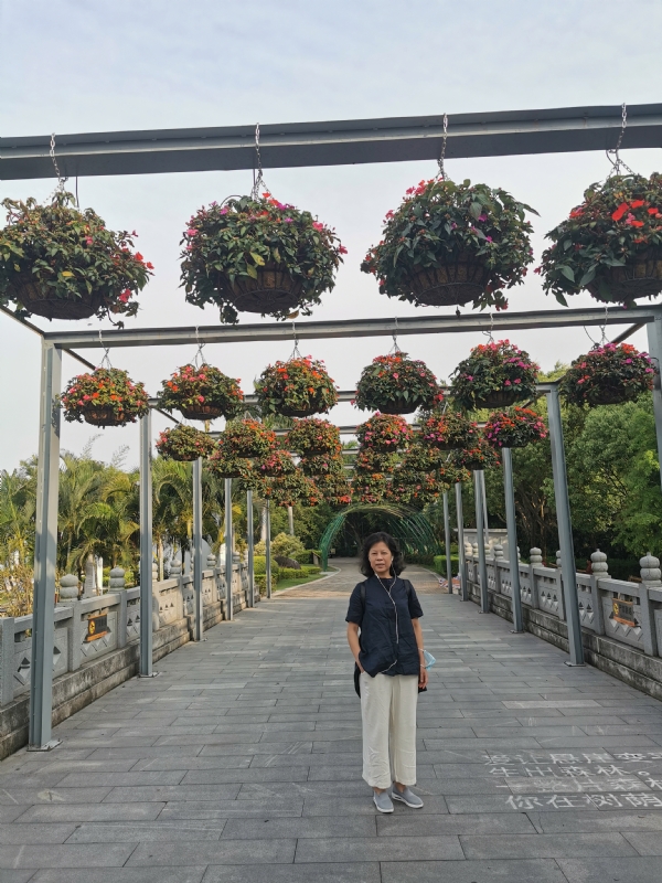 一叶知秋的第二张照片--浦城征婚网